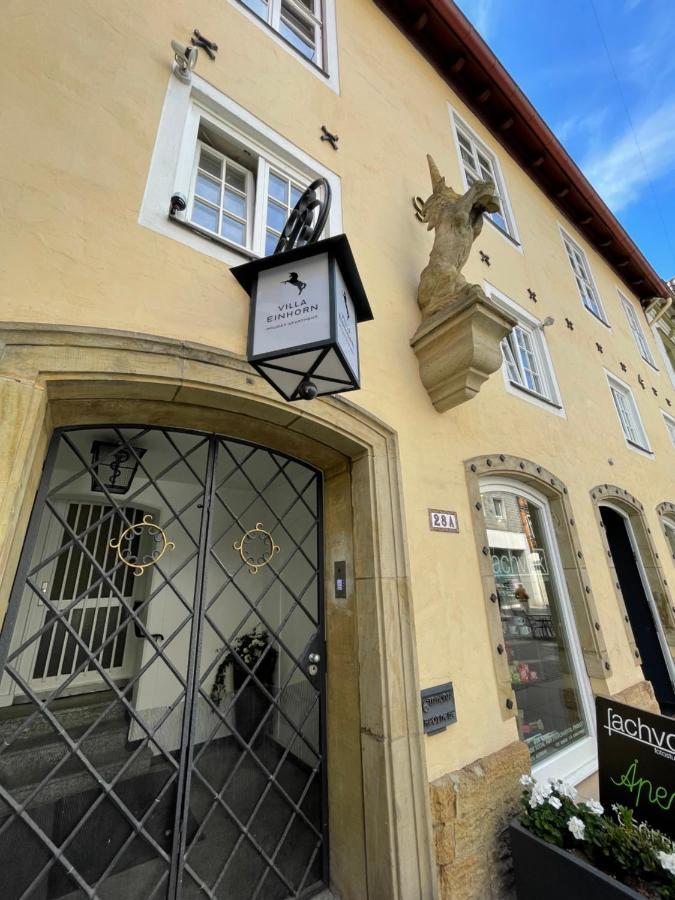 Villa Einhorn: Ruhe Oase Mitten Im Zentrum Goslar Extérieur photo